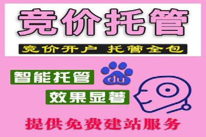 百度竞价开户与优化：企业成功案例解析与启示